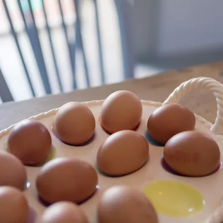 Charming Old فيلة