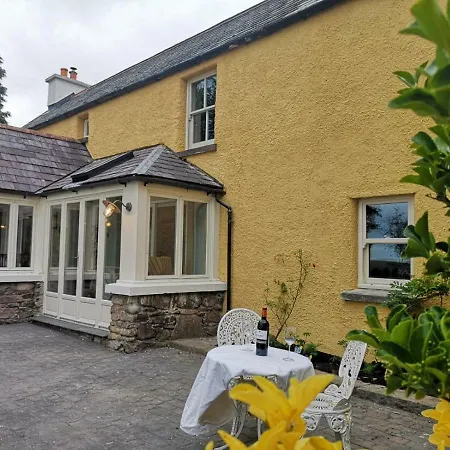 Charming Old فيلة *