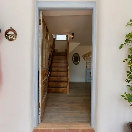 فيلة Charming Old