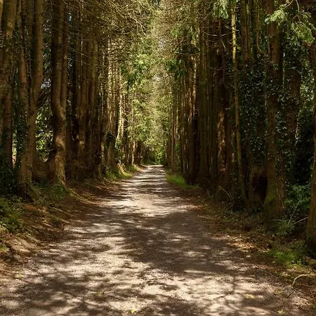 فيلة Charming Old *